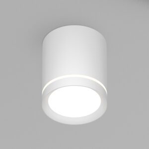 DK4013-WH Светильник накладной IP 20, 5 Вт, LED 4000, белый, алюминий/акрил